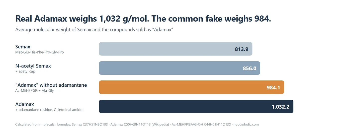 Adamax peptide molecular weight 1,032 g/mol compared with Semax and the 984 g/mol lookalike