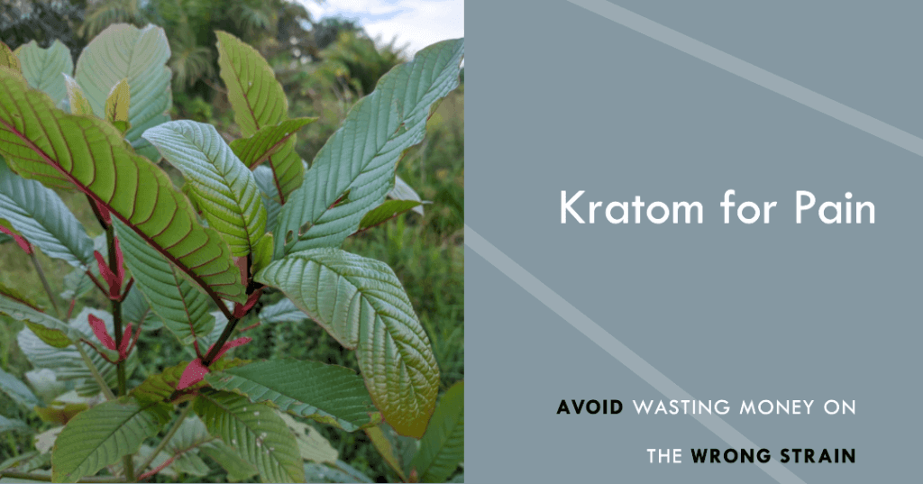 What Kratom Is Best For Pain 3 Best Kratom for Pain Relief 2023 ( I Use These for 7 Years)