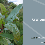 best kratom for pain