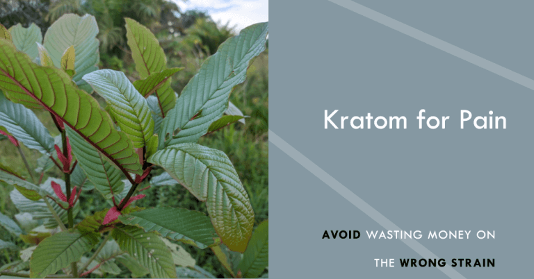 best kratom for pain