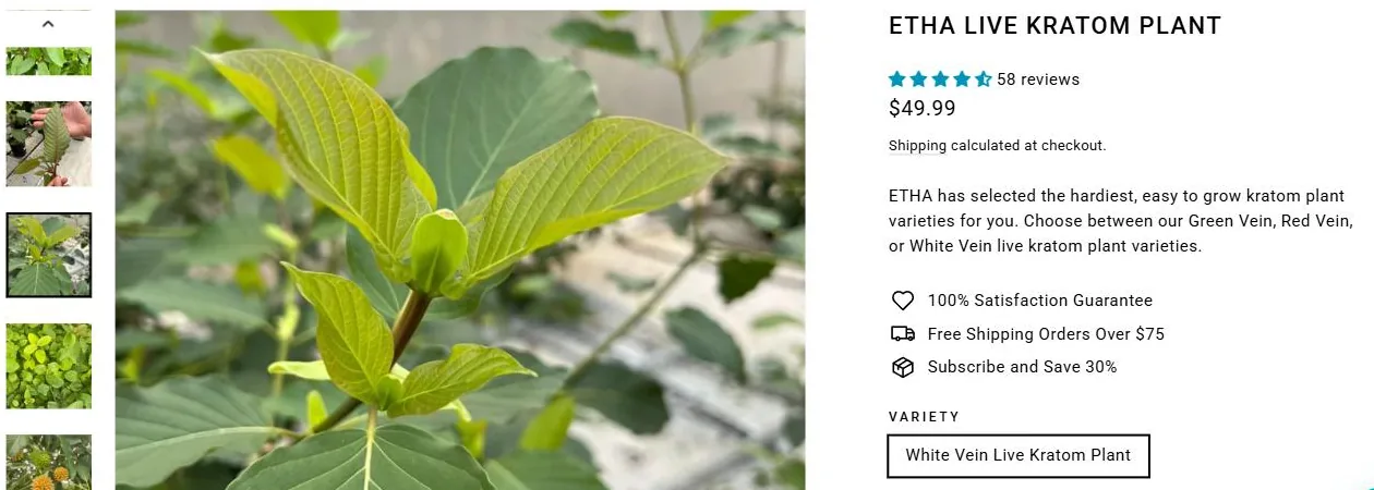 ETHA live kratom plant product page showing the $49.99 price and 58 reviews