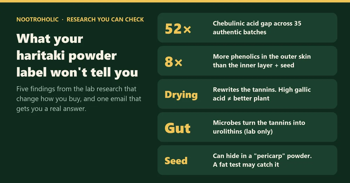 Haritaki powder hidden findings: 52-fold batch gap, outer skin chemistry, drying, gut microbes and seed in the powder