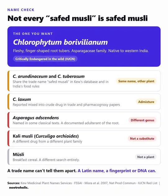 Name decoder: Chlorophytum borivilianum is the true safed musli; C. arundinaceum, C. tuberosum, C. laxum, Asparagus adscendens, kali musli and Müsli are not the same product
