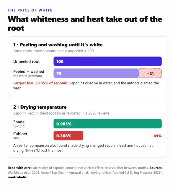Bar charts: peeling and washing safed musli lost up to 20.95% of saponin; cabinet drying at 90°C kept 0.308% saponin versus 0.983% after shade drying